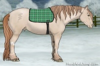 Horse Color:Smoky Black Pearl Rabicano  Brindle