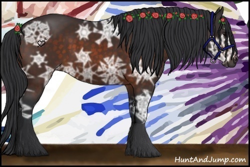 Horse Color:Bay Ice 