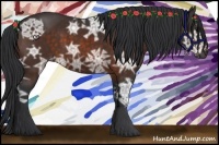 Horse Color:Bay Ice 