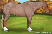 Horse Color:Red Roan