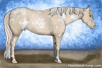 Horse Color:White Spotted Palomino Pearl Frame