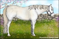 Horse Color:White Spotted Perlino Dun 