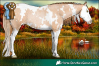 Horse Color:White Spotted Bay Roan Pearl Splash Rabicano