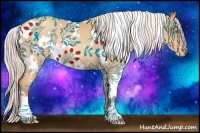 Horse Color:White Spotted Silver Amber Champagne Rabicano