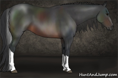 Horse Color:Brown Tobiano 