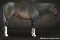 Horse Color:Brown Tobiano