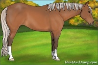 Horse Color:Silver Brown 