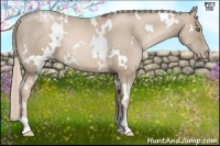 Horse Color:White Spotted Chocolate Palomino Pearl Frame 