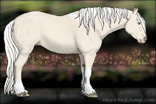 Horse Color:Cremello Tobiano