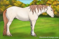 Horse Color:Sable Cream Champagne Pearl 