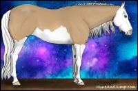 Horse Color:Silver Buckskin Splash 