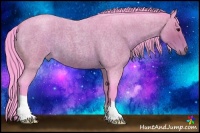 Horse Color:Watercolor Bay Roan 