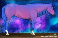 Horse Color:Watercolor Bay Roan 
