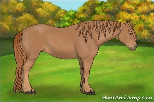 Horse Color:Chestnut Frame