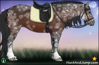 Horse Color:Bay Ice 