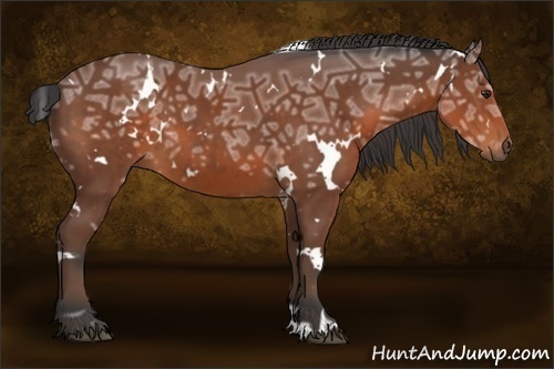 Horse Color:White Spotted Bay Ice