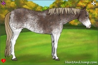 Horse Color:White Spotted Liver Red Roan Rabicano Brindle