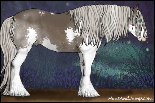 Horse Color:White Spotted Silver Black Splash