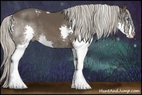 Horse Color:White Spotted Silver Black Splash