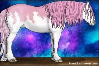 Horse Color:Watercolor Bay Splash