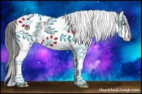 Horse Color:White Spotted Bay Splash Tobiano Rabicano