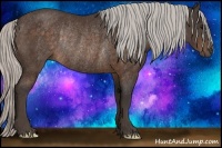 Horse Color:Silver Bay Rabicano