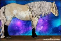 Horse Color:Silver Bay Ice Dun 