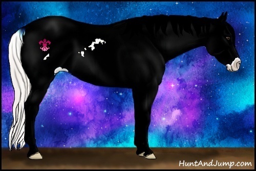 Horse Color:Silver Bay Ice Dun Leopard
