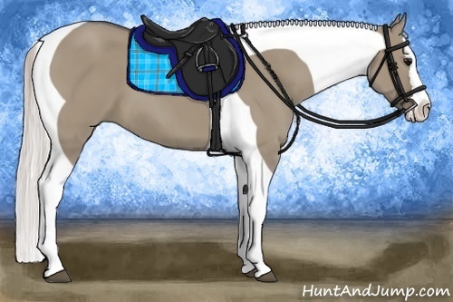 Horse Color:Silver Grullo Sabino Splash Tobiano 