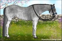 Horse Color:White Spotted Blue Roan Rabicano Brindle