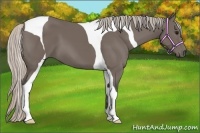 Horse Color:Silver Black Tobiano