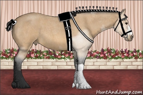 Horse Color:Buckskin Roan 