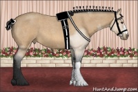 Horse Color:Buckskin Roan