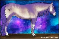 Horse Color:Watercolor Buckskin Onyx Rabicano and Watercolor Buckskin Onyx Rabicano