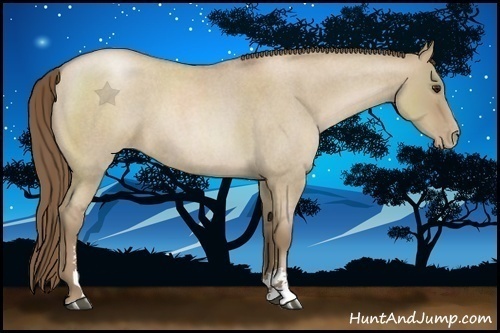 Horse Color:Grullo Roan Pearl Sabino