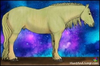 Horse Color:Watercolor Chestnut Rabicano Brindle