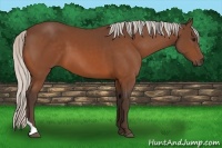 Horse Color:Silver Bay Tobiano 