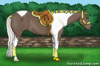 Horse Color:Silver Black Tobiano