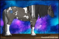 Horse Color:White Spotted Grullo Tobiano