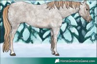 Horse Color:Chocolate Palomino Ice Roan 