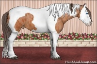 Horse Color:Bay Splash Tobiano Varnish Brindle
