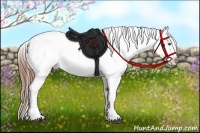 Horse Color:Bay Splash Tobiano Appaloosa Brindle