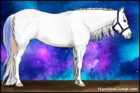 Horse Color:Watercolor Black Appaloosa 