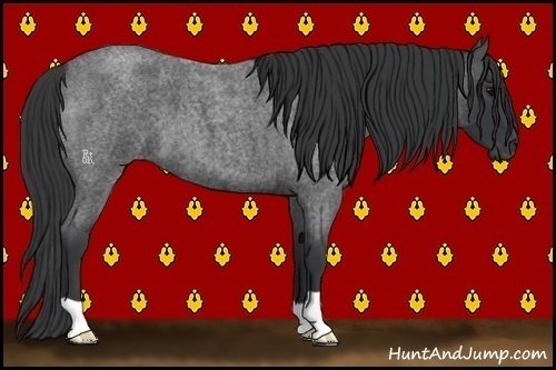 Horse Color:Blue Roan