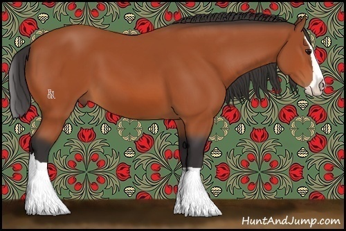 Horse Color:Bay Splash 