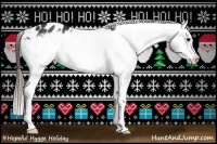 Horse Color:Brown Frame Appaloosa 