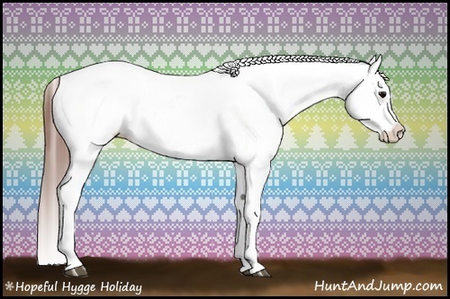 Horse Color:Brown Roan Appaloosa 