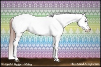 Horse Color:Brown Roan Appaloosa