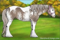 Horse Color:White Spotted Silver Black Tobiano 