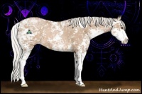 Horse Color:Silver Black Ice Pearl Sabino